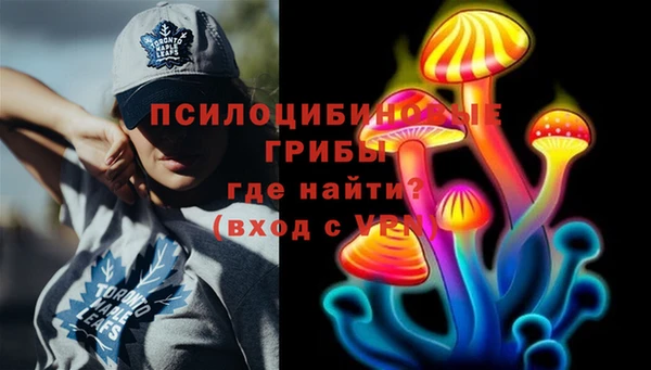 мяу мяу мука Барнаул