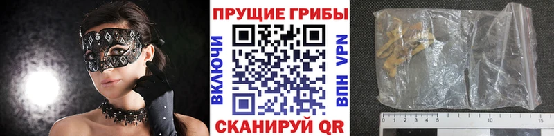 купить наркотики цена  Сысерть  Псилоцибиновые грибы Psilocybe 